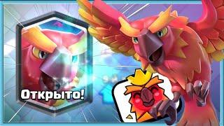  ФЕНИКС НОВАЯ ИМБА? КОЛОДЫ И ВЕЧЕРИНКА С ФЕНИКСОМ / Ckash Royale