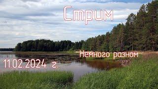Немного о разном. Стрим 11.02.2024