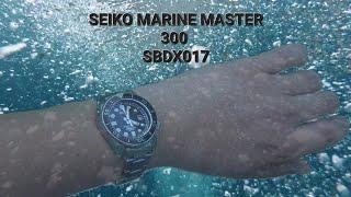 SEIKO MARINE MASTER 300 SBDX017 Worn Daily