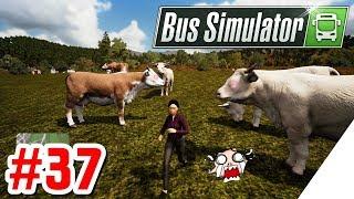 BUS SIMULATOR [PS4][German] Let's Play #37 Mutierte KÜHE ?! (Freier Modus + Sammlerstücke)