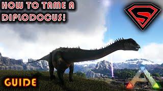 ARK HOW TO TAME A DIPLODOCUS 2020 - EVERYTHING YOU NEED TO KNOW ABOUT TAMING A DIPLODOCUS IN ARK