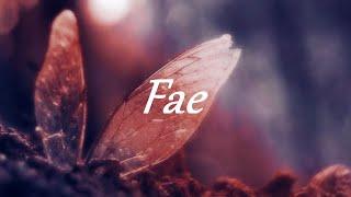 Fae || Multifandom