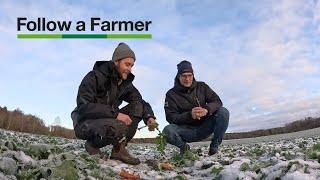 Vi var iskalla vid vårsådden, vilket lönade sig - Follow a Farmer, Elliot Forsberg S3:E7