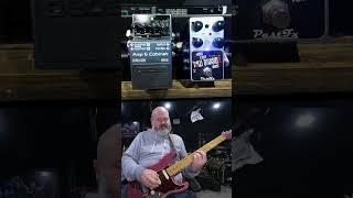 Boss IR-2 & PastFx New Division Stereo Vibrato