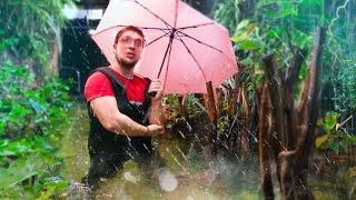 it's RAINING in the 14000 Liter AQUARIUM? AUTOMATION of the FISHROOM