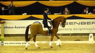 www.reitschule-sandbrink.de BONAPARTE Heike Kemmer  German Classics Dressage