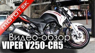 Мотоцикл VIPER V250-CR5 | Видео Обзор | Обзор от Mototek