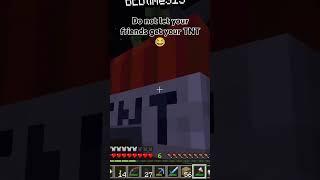 When you let your friends play with TNT #minecraft #minecraftmemes