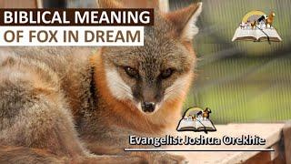 Biblical Meaning of FOX in Dream - Spiritual Meaning of Foxes