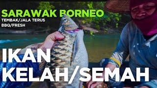 OFF ROAD CAMPING FISHING ADVENTURE into the FOREST of BORNEO #ikanSemah #Sarawak