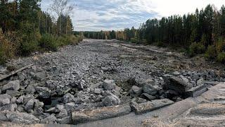 ️Массовая гибель рыбы️ Водосброс Рефтинского водохранилища пересох. Масштабная гибель окуня.