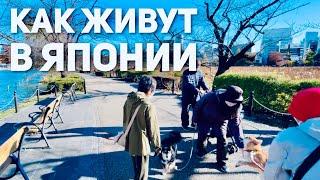 ЖИЗНЬ В ЯПОНИИ | Как живут обычные японцы ENG SUB