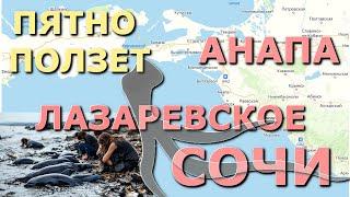 Мазут в черном море, новости черноморское побережье, черное море сейчас, Лазаревское сегодня