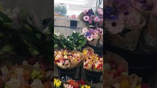 Which of them is the best flower bouquet? for as gift