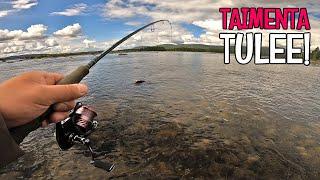 A QUICK TRIP TO THE BEST FISHING PLACES IN LAPLAND