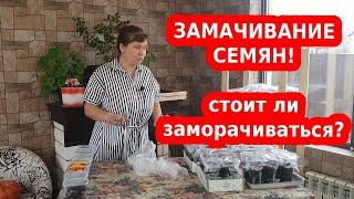 Замачивание семян для крепкой рассады