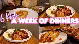 *NEW* FEBRUARY FAMILY DINNERS OF THE WEEK| family of eight evening meal ideas, meal plan, sahm of 6