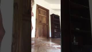 Gymnastics