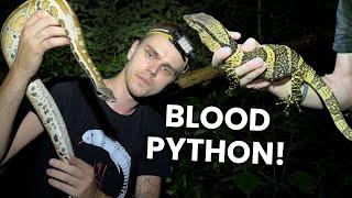 Rare Reptiles in the Rainforest! Herping Thailand Pt.1