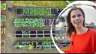 Epic COMMUNITY GARDEN tour! Maralinga Community Garden - Keysborough Melbourne - Gardening Australia