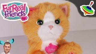 Игривый котенок Дейзи Furreal Friends Daisy