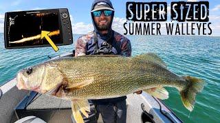 Fishing GIANT Summer Walleyes with AGGRESSIVE Lures!