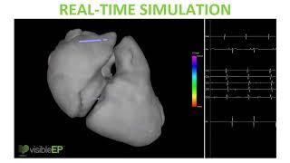 Realtime Simulation