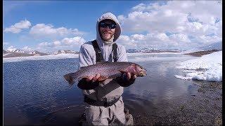Fly fishing Strawberry reservoir at ice off 2019