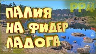 Палия на фидер. Фарм на Ладоге • Русская рыбалка 4 • Где клюет палия и сиг