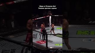 Шара Булет vs Петросян бой глазами зрителя с арены ufc #юфс #ufc #мма #бой #mmaufc