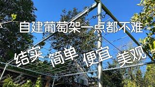 【DIY】搭个结实简单美观便宜的葡萄架｜自建EMT钢管葡萄架比你以为的容易多了