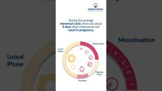 Secrets of Your Fertile Period and Monitoring Your Menstrual Cycle