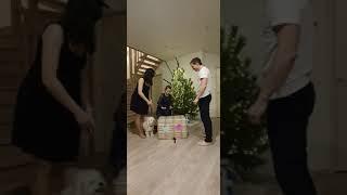 Угадай пол малыша! кого ждём? мальчика или девочку! #babyshower #беременность