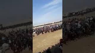 Улок купкари бешарик