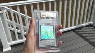 Yugioh Black Rose Dragon 1st Edition