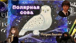 Рисуем полярную сову. Сова Букля. Сова Гарри Поттера. Рисуем пошагово.