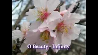 Учим песни Шри Чинмоя - O, Beauty Infinity (music by Sri Chinmoy)