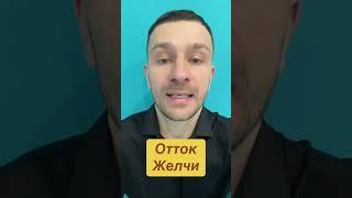 застой желчи, желчь, желчный пузырь, отток желчи, желчь застой,