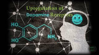 Upregulation of Dopamine Receptors - Dopamine Detox | Healing Frequencies