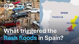 Flash floods in Spain: Muddy torrents sweeping away cars as huge storms hit | DW News