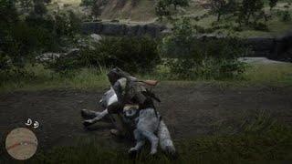 Red Dead Redemption 2 - Wolf Suicide