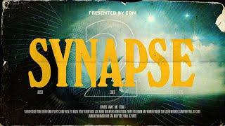 Synapse 2