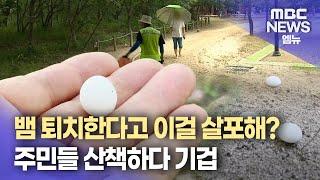 뱀 퇴치한다며 산책로에 나프탈렌 살포(2025.06.16/뉴스데스크/MBC경남)