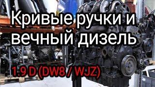 Что стучит в надежном, как "АК", дизеле 1.9D (DW8 / WJZ) от Peugeot и Citroёn?