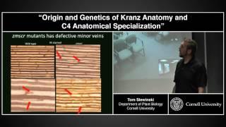 "Origin and Genetics of Kranz Anatomy and C4 Anatomical Specialization" - Tom Slewinski