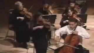 Pieter Wispelwey - Haydn Cello Concerto in C - Moderato