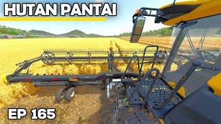 HARVEST IS BACK! | Farming Simulator 25 - Hutan Pantai | Episode 165