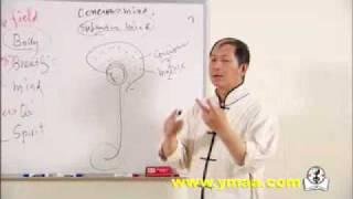 Understanding Qigong DVD 1 (YMAA 6-DVD series) Dr. yang, Jwing-Ming - chi kung