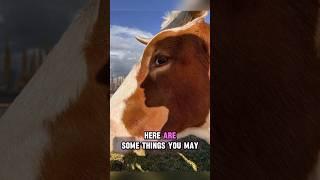 RARE PHOTOS YOU MIGHT NOT KNOW BEFORE| Interesting| Facts #shorts