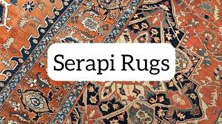 Serapi Rugs in Chicago | Highly Valued Persian Rugs #orientalrugs #interiordesign #ruglove